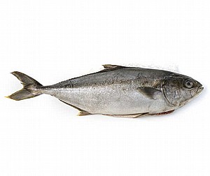 ��� ���� ����'�